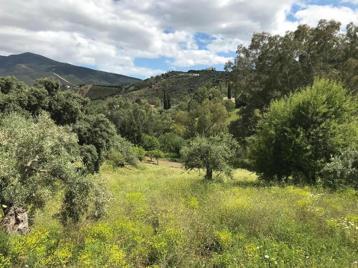 Appartement Garden Apartment, Cortijo Fruitful Hills Coín
