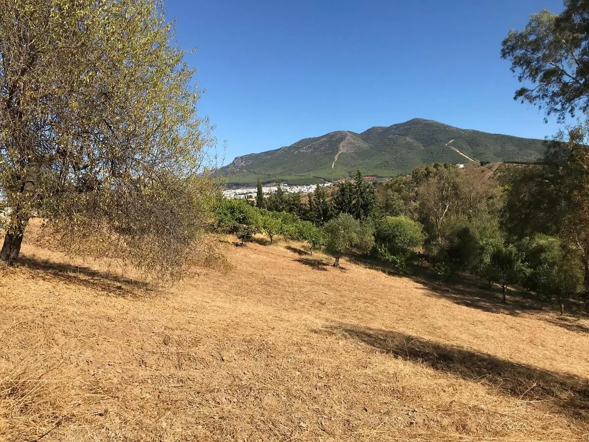 Appartement Garden Apartment, Cortijo Fruitful Hills Coín Espagne