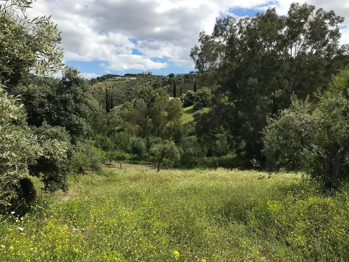 Appartement Garden Apartment, Cortijo Fruitful Hills Coín