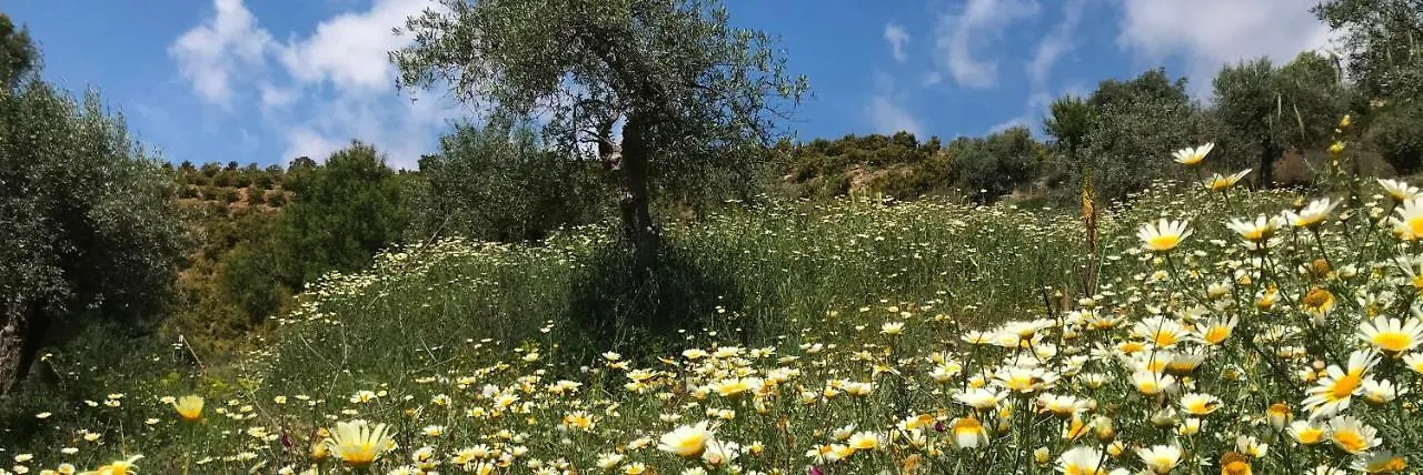 Appartement Garden Apartment, Cortijo Fruitful Hills Coín