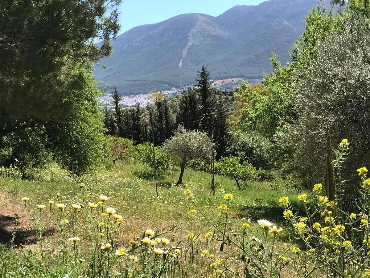Garden Apartment, Cortijo Fruitful Hills كوين شقة