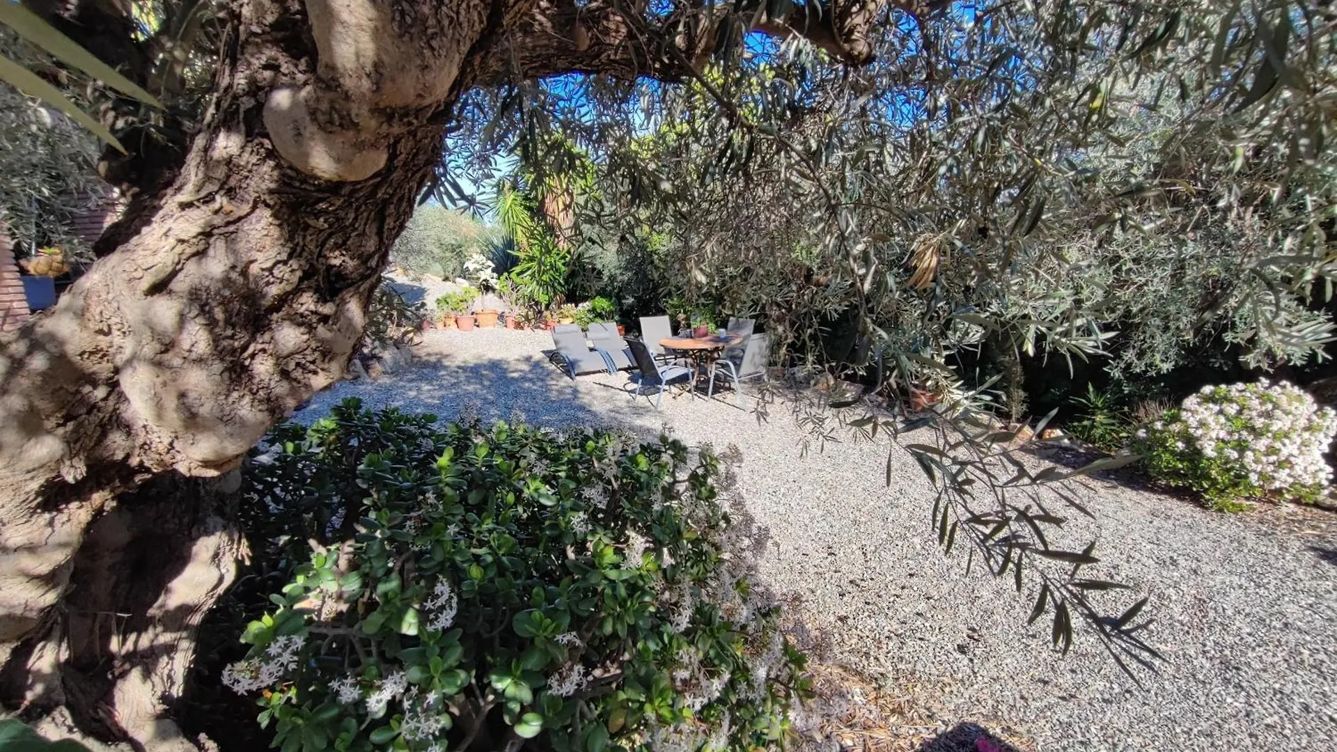 Appartement Garden Apartment, Cortijo Fruitful Hills Coín