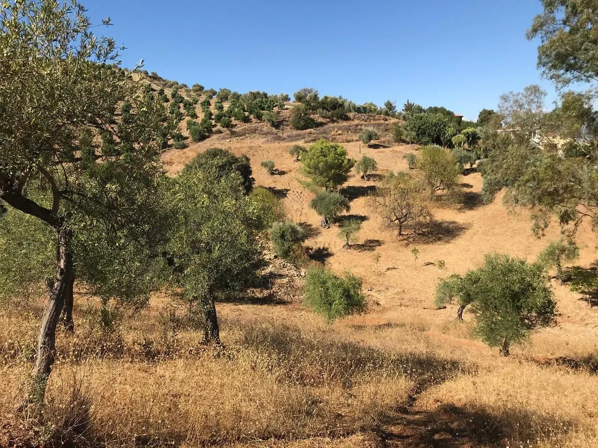Garden Apartment, Cortijo Fruitful Hills Coín Daire